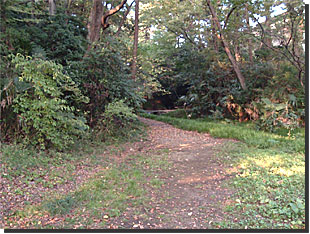 新次郎池の写真1