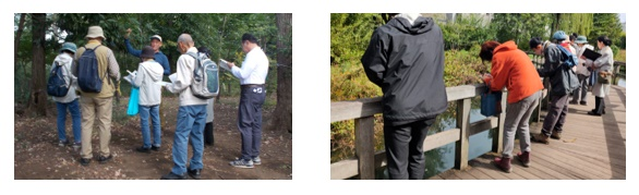 秋期動植物観察会写真