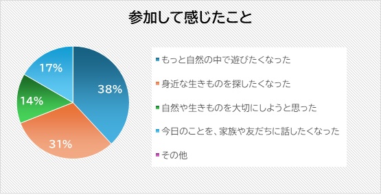 アンケート結果2　参加して感じたこと