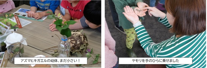 実際に生きものを触って大興奮の子どもたち