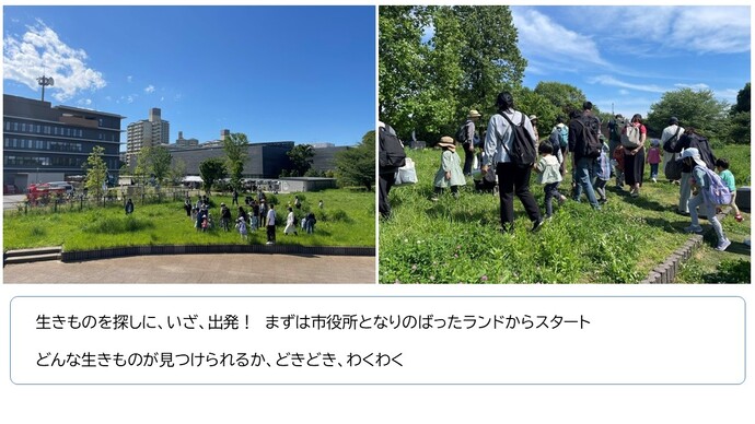 生きものを探しに、いざ、出発。まずは市役所となりのバッタランドからスタート。どんな生きものが見つけられるか、どきどき、わくわく。