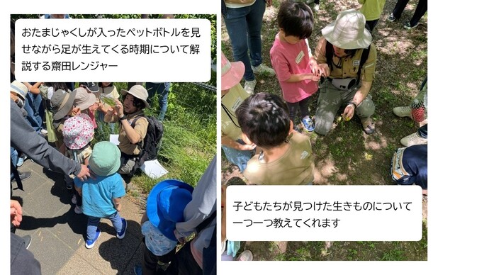 おたまじゃくしが入ったペットボトルを見せながら足が生えてくる時期について解説する齋田レンジャー。子どもたちが見つけた生きものについても一つ一つ教えてくれます