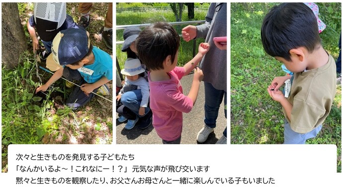 次々と生きものを発見する子どもたち。「なんかいるよ~!これなにー!?」と元気な声が飛び交います。黙々と生きものを観察したり、お父さんお母さんと一緒に楽しんでいる子もいました