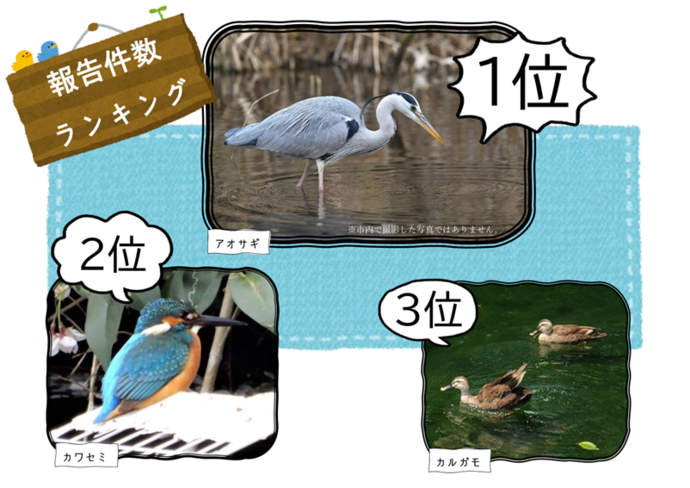 生きものさがし春・夏編