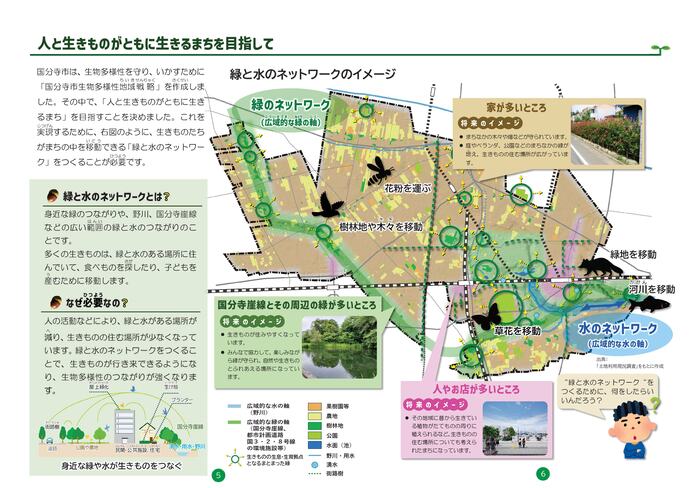 緑と水のネットワークのイメージ