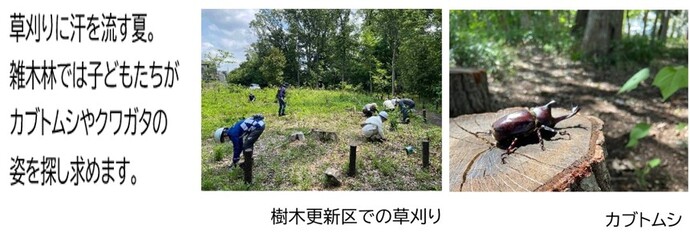「草刈りに汗を流す夏。 雑木林では子どもたちが カブトムシやクワガタの 姿を探し求めます。」というコメントと草刈りの写真とカブトムシの写真